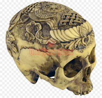 Real head