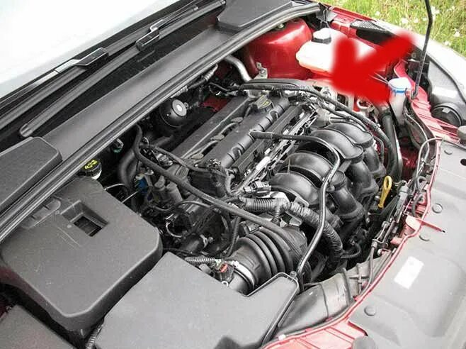 New Ford Focus 2018 1.5L EcoBoost Titanium Photos, Prices And Specs in UAE