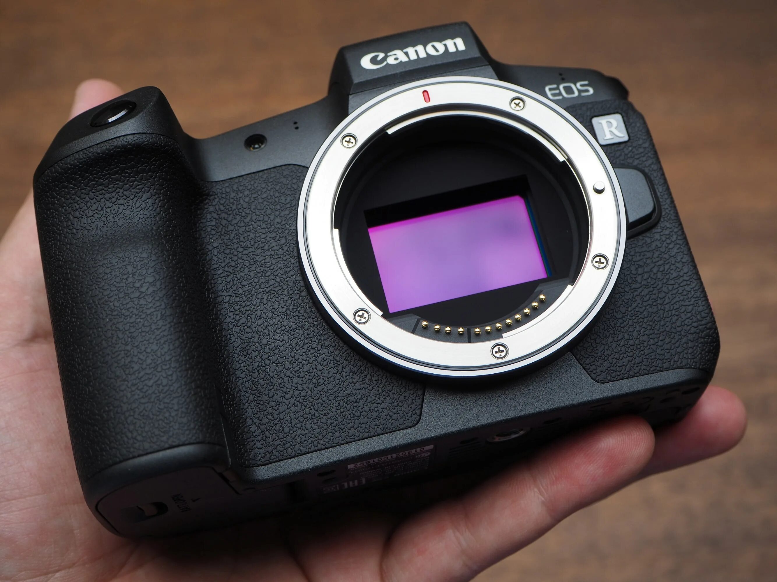Canon r8. Canon EOS R. Canon EOS r3. Canon EOS VR.
