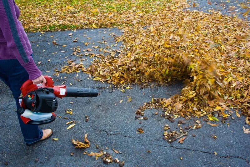 Leaves blowing on a single note