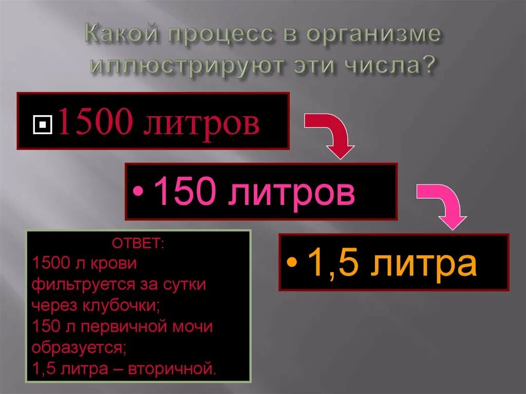 За сутки образуется первичной мочи. Количество первичной мочи за сутки. Какой процесс в организме иллюстрируют эти числа 1500л 150л 1.5. Какое количество первичной мочи образуется в сутки.