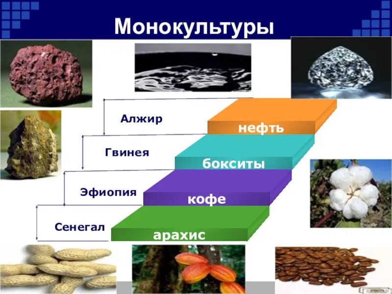 Монокультурные страны африки. Страны африки презентация. Монокультурная специализация африки. Монокультурная специализация сельского хозяйства африки. Таблица хозяйство стран африки.