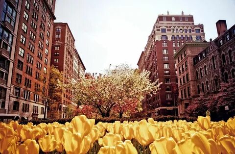 Side new york