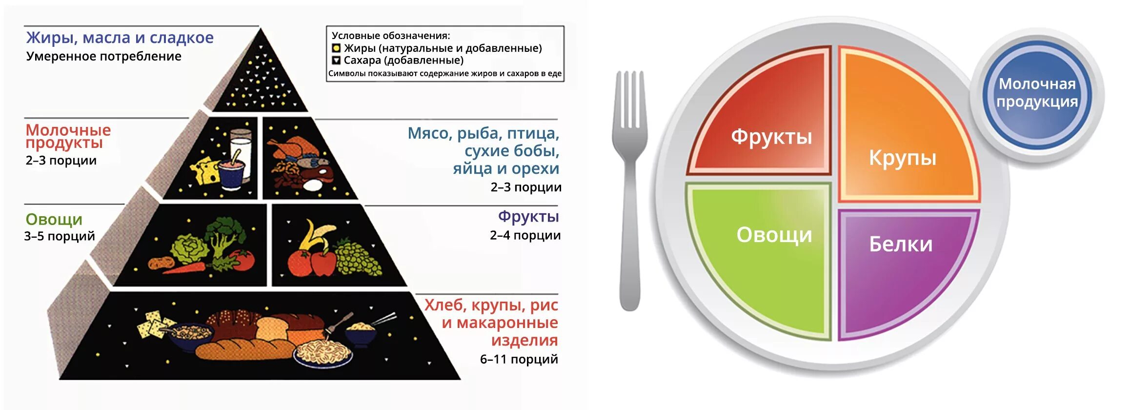 Тарелка здорового питания схема. Рациональная тарелка питания. Гарвардская тарелка здорового питания. Диета Гарвардская тарелка. Мизерная порция света