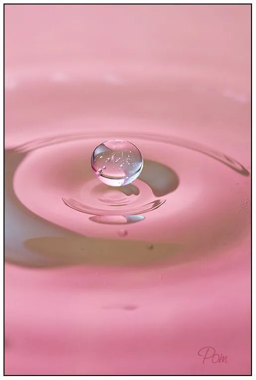 Розовые капли. Розовая вода. Капля розового цвета. Розовые капли воды