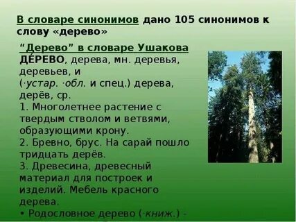 Статья слова дерево