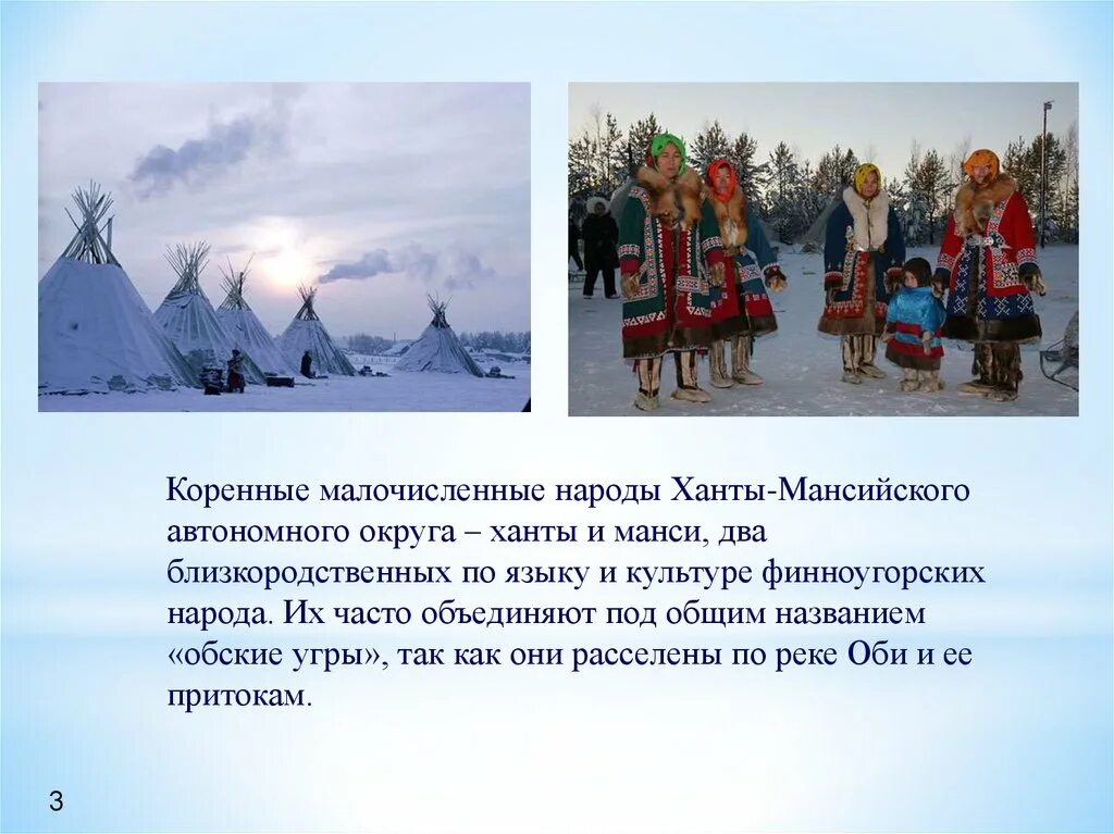 Основные занятия хантов. Ханты и манси традиции и обычаи. Коренные народы малочисленные ХМАО манси. Коренные народы севера манси. Обычаи народов Ханты и манси.