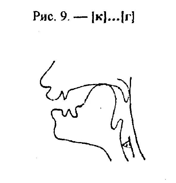 Артикуляция г. Артикуляция звука г для детей. Профиль звука с. Профили артикуляции звуков. Артикуляция звука с.