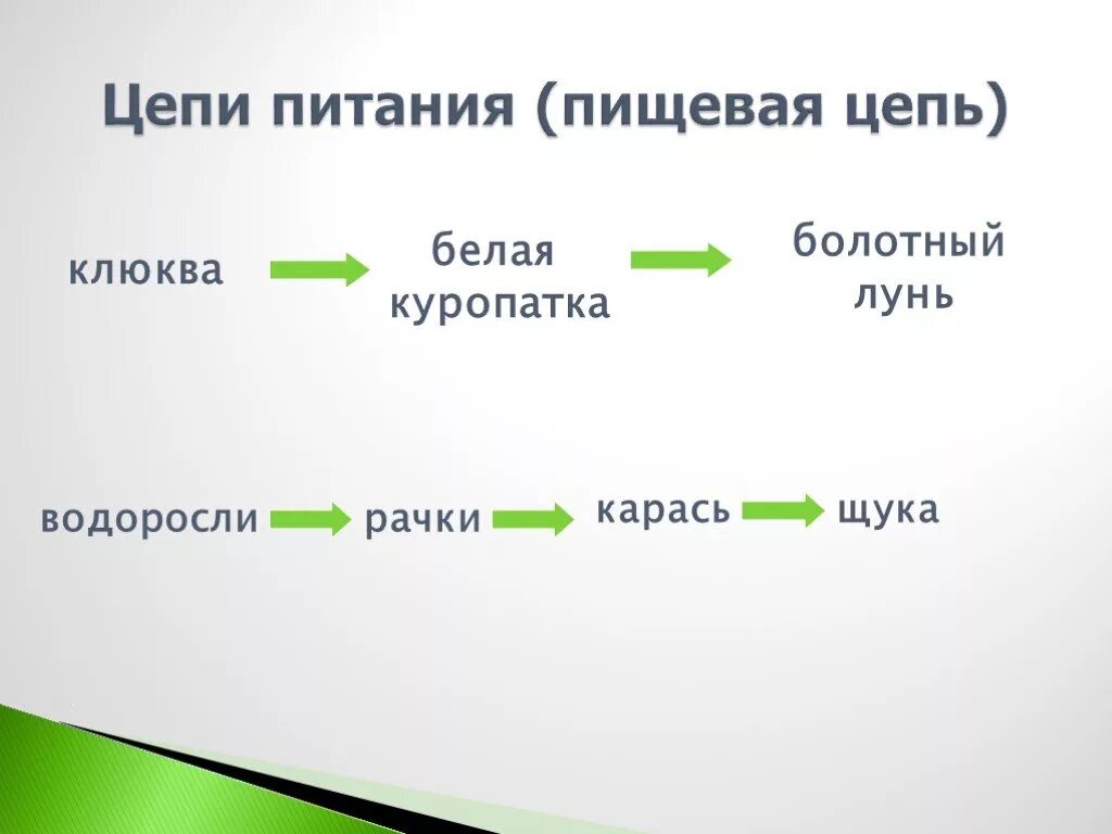 Составить пищевую цепь водоема