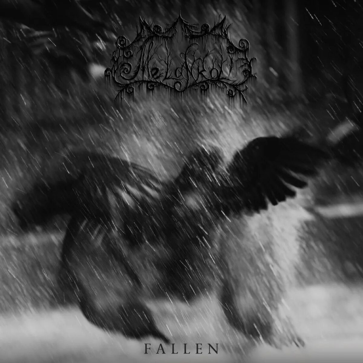 Fallen flac. Melankoli группа. Hermóðr группа. Melankoli ветер. Autumn Black Metal.