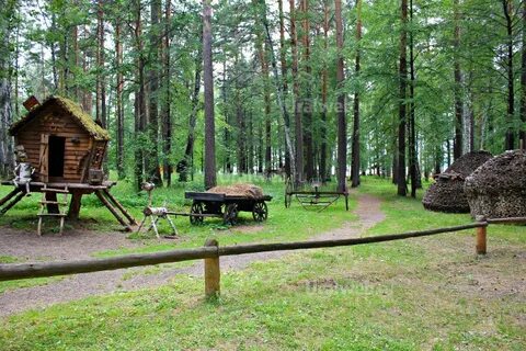 Лесная сказка балтым