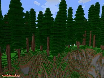 Forest 1 6
