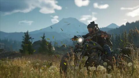 Days gone на пк требования