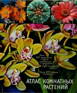 Атлас цветов