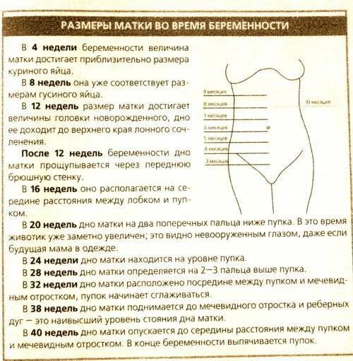 Боль в матке беременной