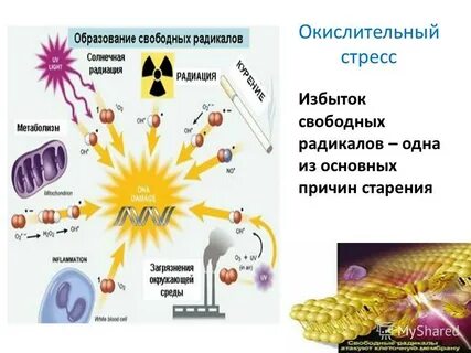Механизм образования радикалов