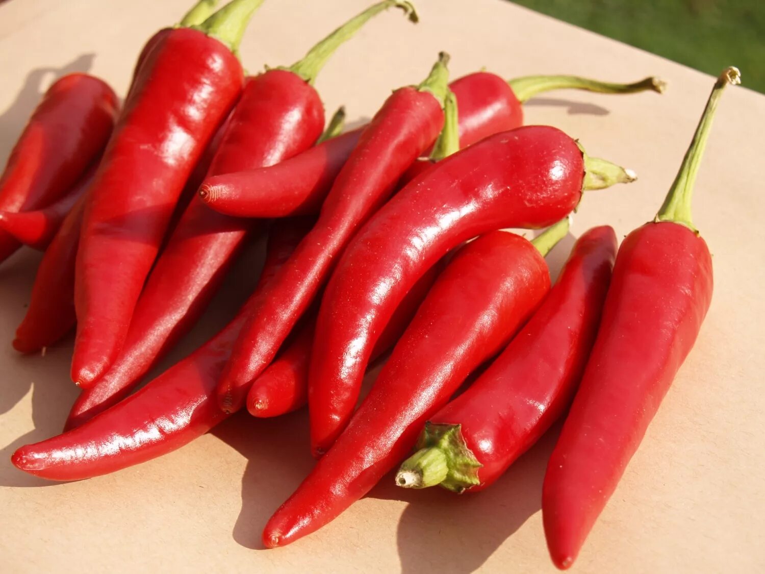 Кайенский чили. Красный кайенский перец. Cayenne перец. Кайенский перец это. Красный кайенский перец.