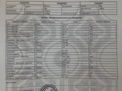 Интоксикация какие анализы
