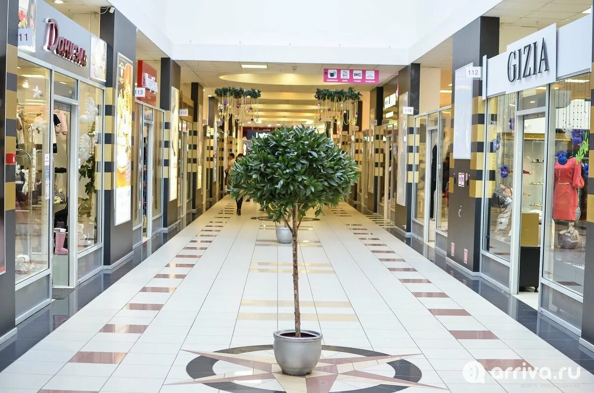 Тольятти отделы. Домовой тольятти. Автостроителей 51 димитровград. Магазин восход тольятти. Тольятти отделы.