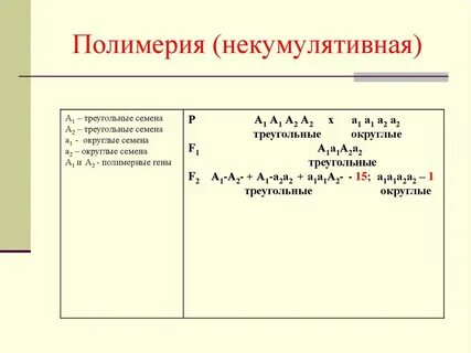 Расщепление при некумулятивной полимерии