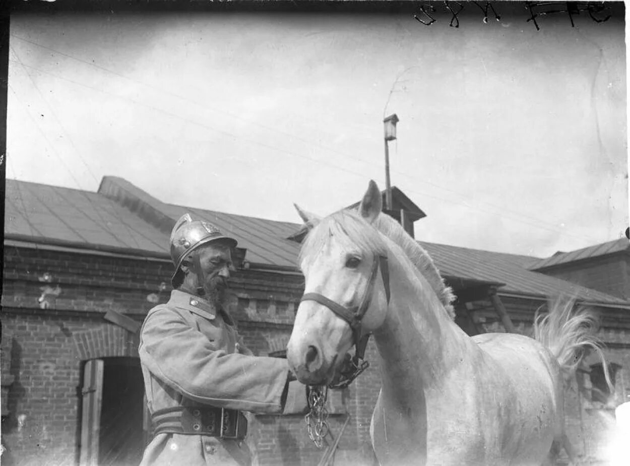 Пожарные 1930. Пожарная лошадь. Пожарные 1920 годов. Пожарная охрана 1930.