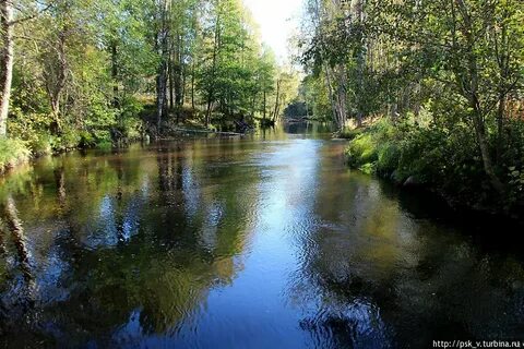 Река волчья