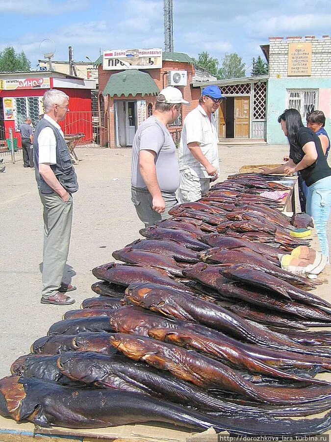 Купить рыбу в твери. Рыба плюс Пешелань. Рыбный рынок Воротынец. Осташков рынок. Рыба на рынке.