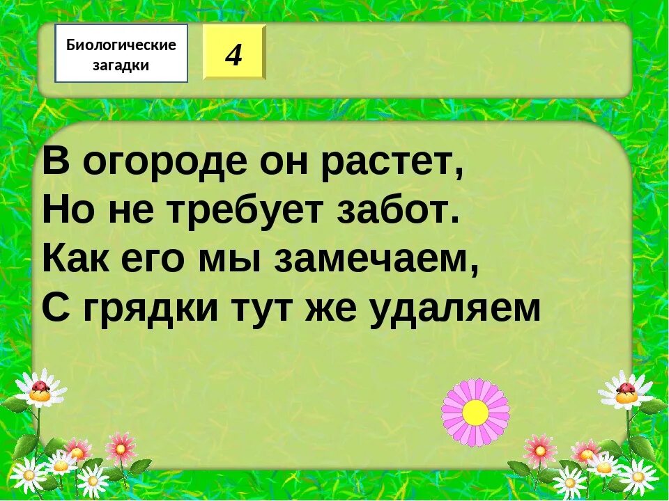 Биологические загадки. Загадки про биологию. Загадки про биологию 5 класс. Загадки по биологии с ответами. 5 загадок по биологии