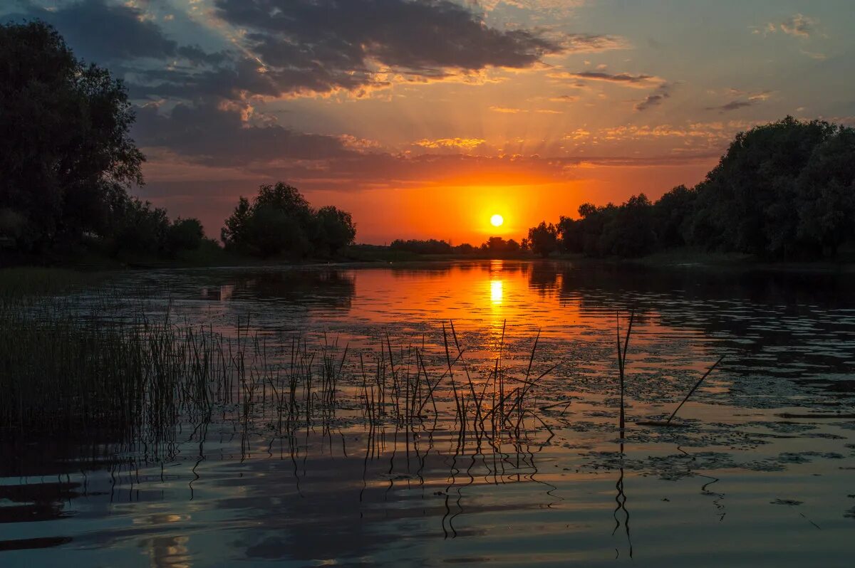 дельта реки волга в астрахани. астраханская область природа волга. астраханский заповедник ландшафт. астрахань природа. астрахань природа.