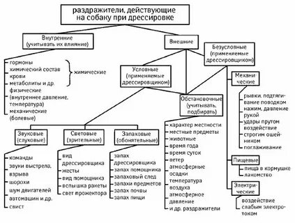 Полный окончательный анализ внешних раздражителей происходит