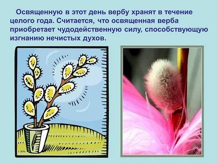 Вербное воскресенье происхождение праздника
