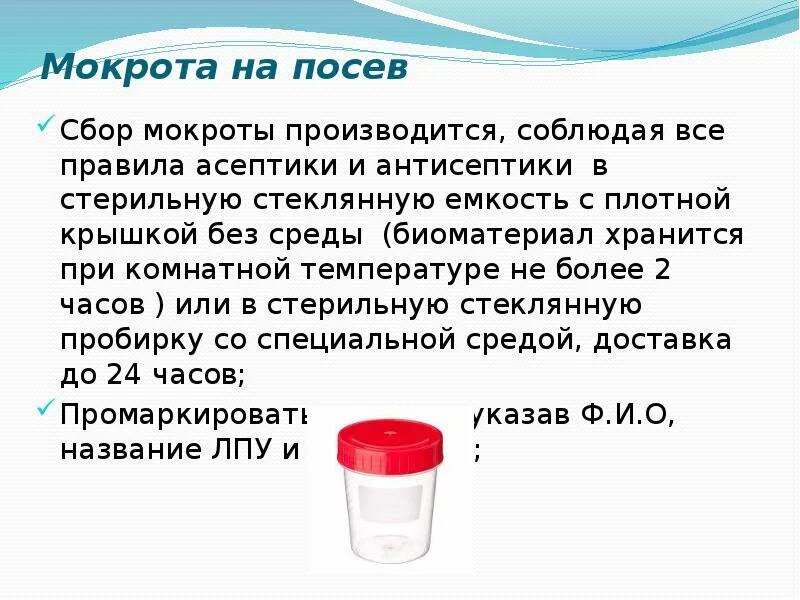 Забор мокроты. Сбор мокроты для исследования на бак посев. Емкость для сбора мокроты на общий анализ. Правила сбора мокроты и мочи для микробиологического исследования. Мокроту на посев собирают.