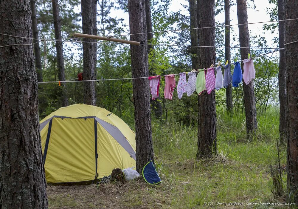 Меню палаточный лагерь. Палаточный лагерь Camp 2050. Россонь палаточный лагерь. Палаточный лагерь Орленок. Украшение палаточного лагеря.