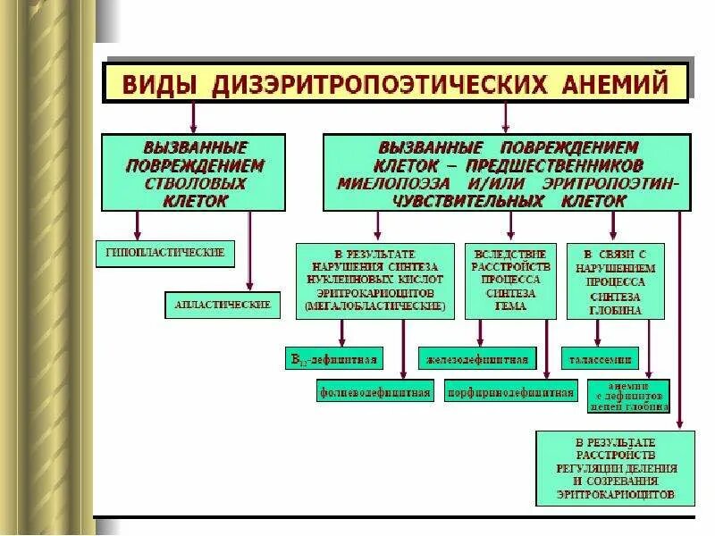 Понятие анемии. Механизм развития дизэритропоэтической анемии. Дизэритропоэтическая анемия классификация. Дизэритропоэтические анемии патогенез. Основные механизмы развития анемий.