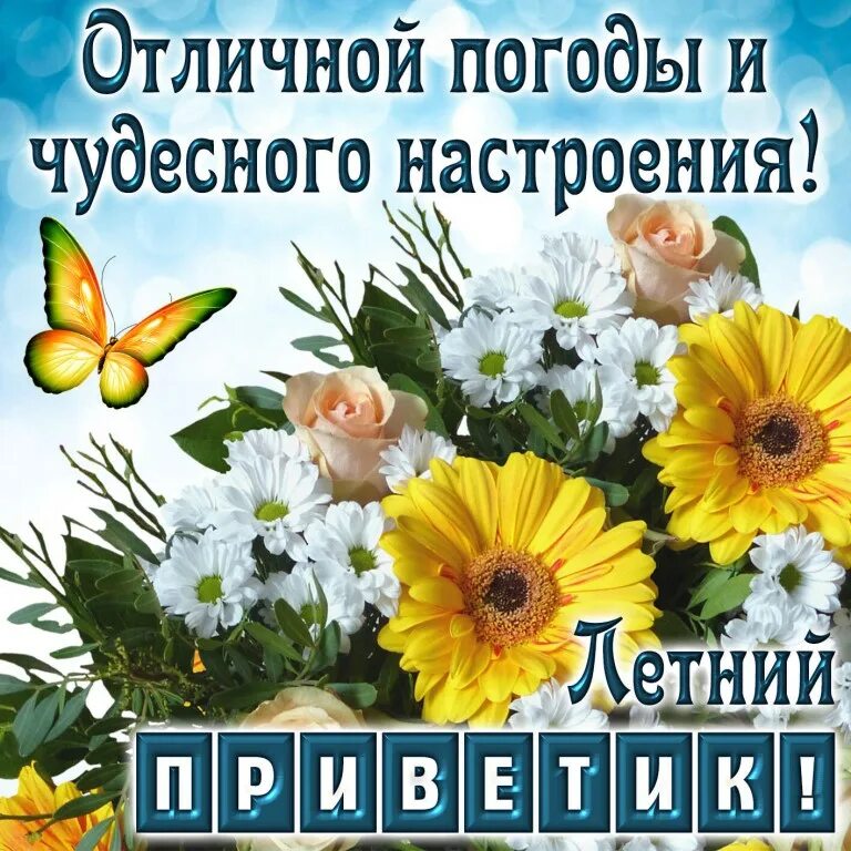 Здоровья в любую погоду. Открытки летнего настроения. Открытки с добрым днём летние. Открытки хорошего летнего дня. Летние пожелания.