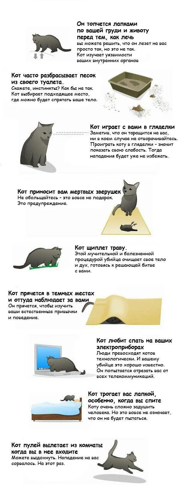 Почему коты топчутся лапами