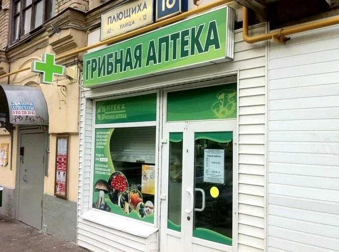 Грибная аптека вишневского. Грибная аптека вишневского. Грибная аптека вишневского. Грибная аптека на невском. Грибная аптека в спб на звездной.
