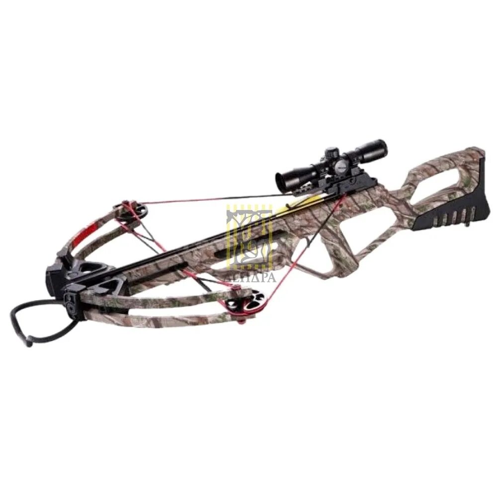 Barnett wildcat c5. Арбалет barnett wildcat. Арбалет xb53. Арбалет mantis elite. Арбалет tenpoint carbon fusion cls.