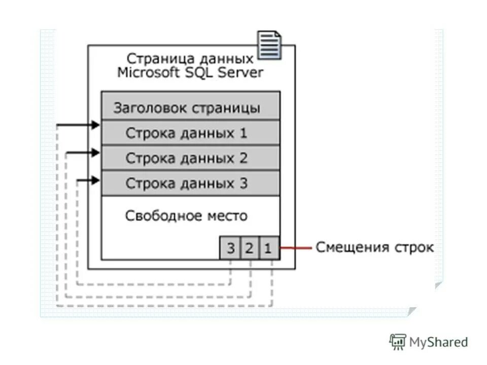 Страница данных организации