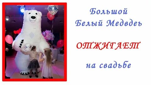 Услуга мишка мишка поздравляет