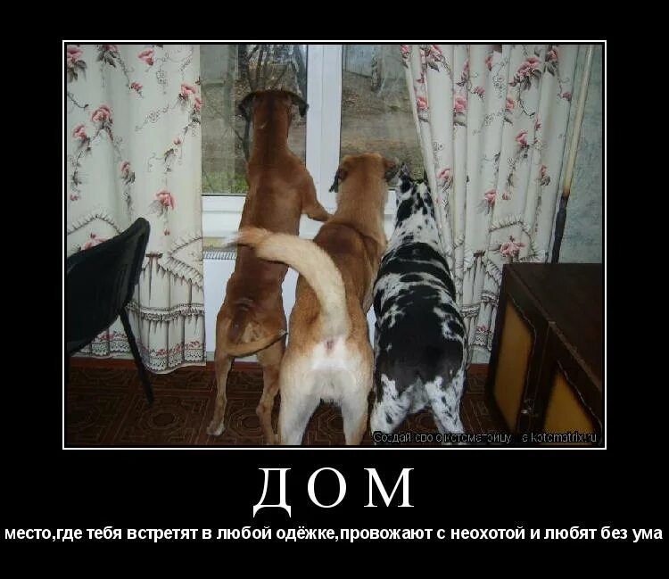 не хочу на дачу картинки. слушать хочу на дачу. скорей на дачу. приехали на дачу. не хочу на дачу.