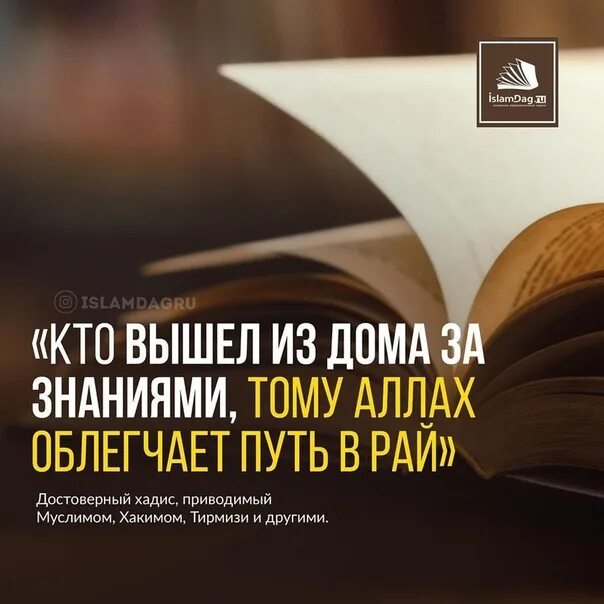 Хадисы про знания. Хадис о достоинстве знания. Аяты про знания. Получать знание в исламе. Аяты про знания.