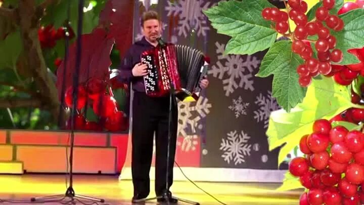 Песня над рекой калина спелая. Над рекой калина спелая текст. Муравьева с гитарой. Песня осока над рекой калина спелая слушать. За рекой калина спелая на баяне.