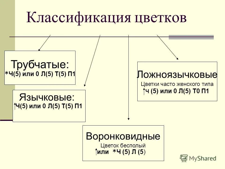 классификация покрытосеменных растений. систематика цветковых растений. систематика цветковых. отделы покрытосеменных растений таблица. классификация покрытосеменных.