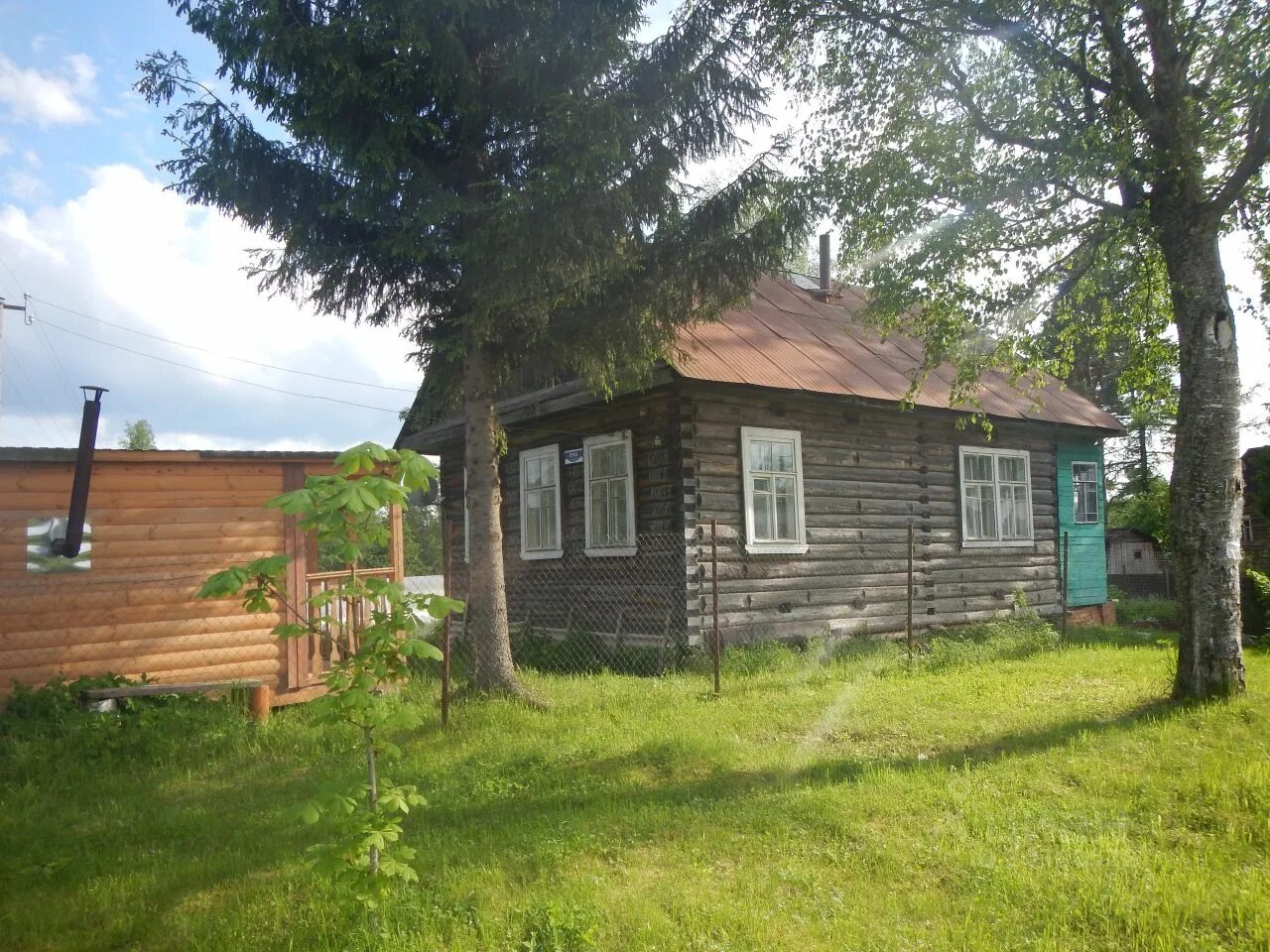 Циан великом новгороде