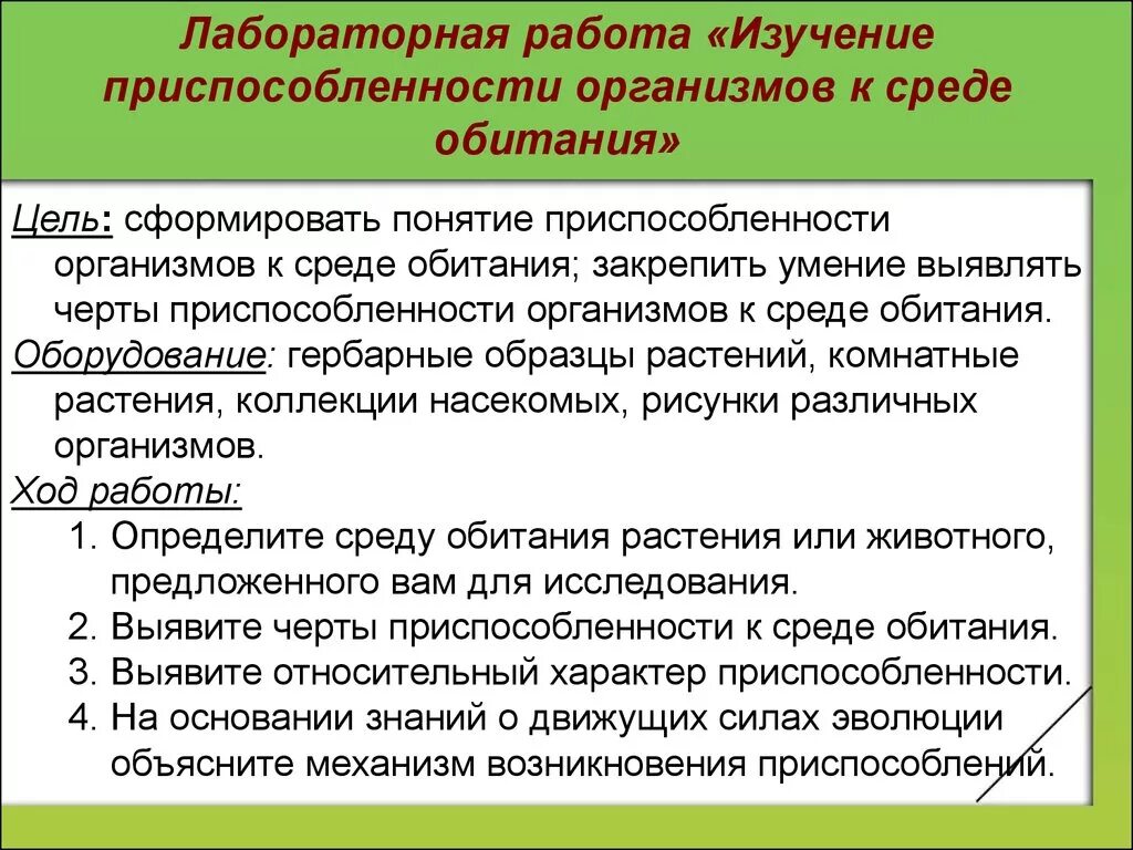 Изучение приспособленности организмов к среде. Приспособления организмов. Черты приспособленности организмов. Изучение приспособления организмов к среде обитания.