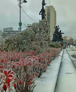 Владивосток в ноябре