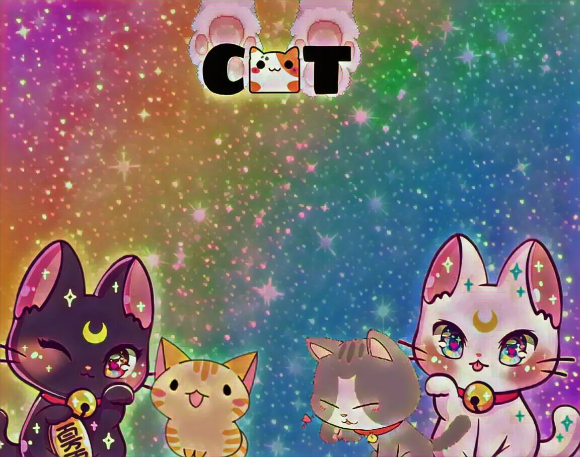 Живые обои котов. Живые обои с котиками. Кошки арты. Минимализм животные. Пушин кэт фон.