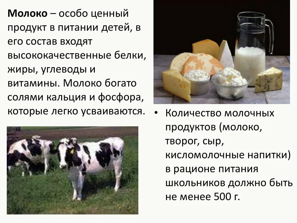 Презентация на тему молоко и молочные продукты. Блюда из молочных и кисломолочных продуктов. Молочные продукты. Молочные продукты. Молоко молочные продукты конспект.