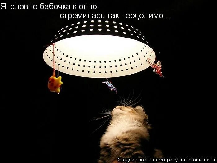 грустная бабочка. я словно бабочка. я словно бабочка к огню слова. пока я словно бабочка сижу на сталагмите. я словно бабочка.